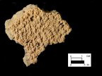 Mockley net-impressed body sherd from Dorr Site 18AN19/133.